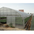 plastic green house for vegetable seeding